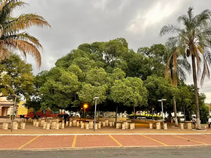 A enorme figueira que toma conta da praça da matriz e é ponto de encontro da população. Néia Rosseto,, 2018